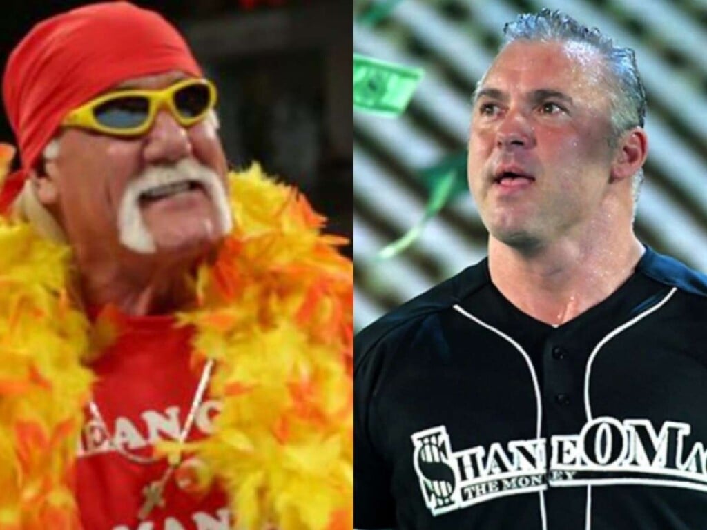 Hulk Hogan and Shane McMahon