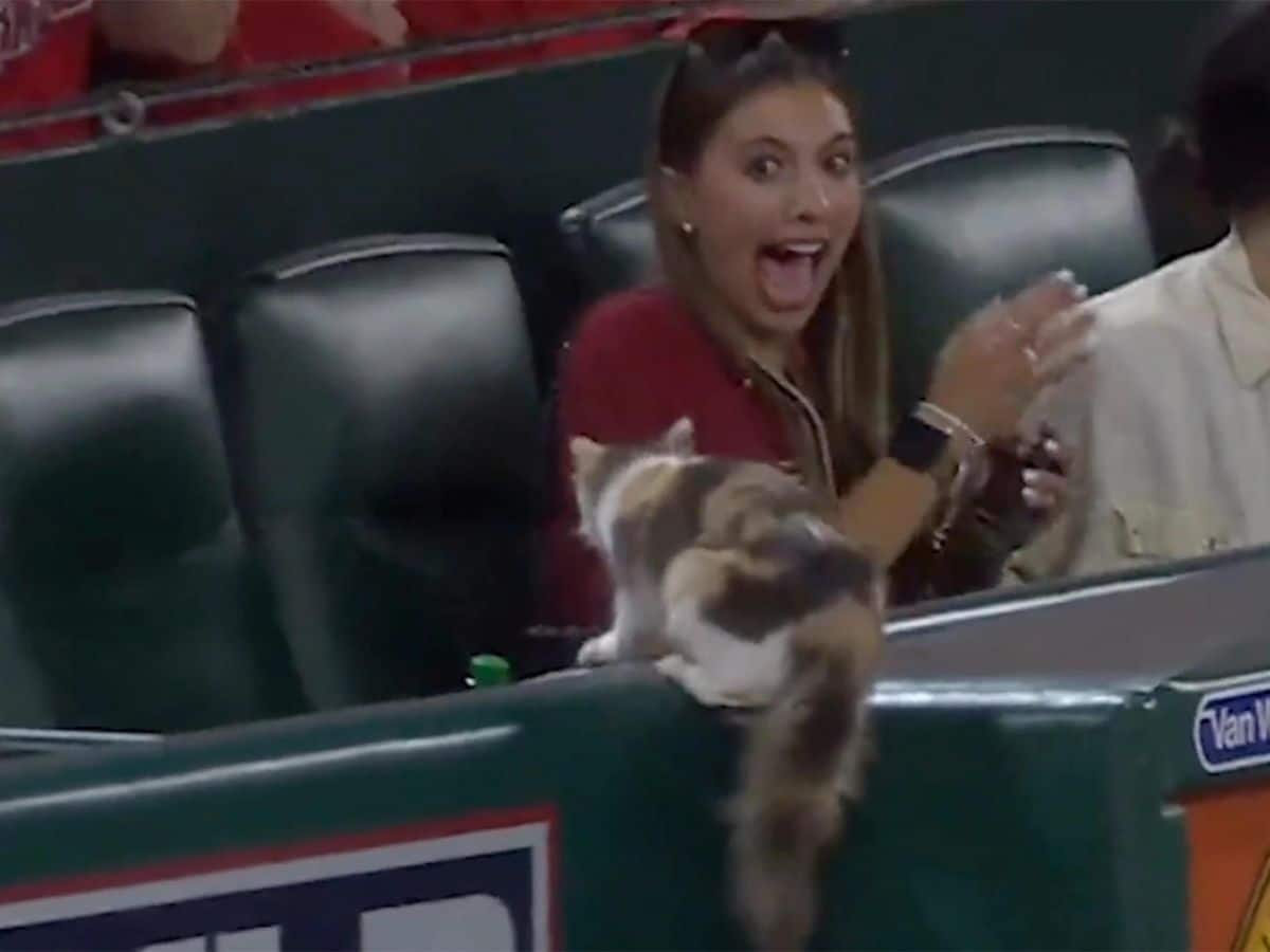 WATCH: Dominic Fletcher’s fiancee Emily Edwards hilariously FREAKS OUT as rally cat enters Angels stadium, MLB Twitter reacts