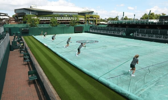 Grasscourt of wimbledon Via express.co.uk