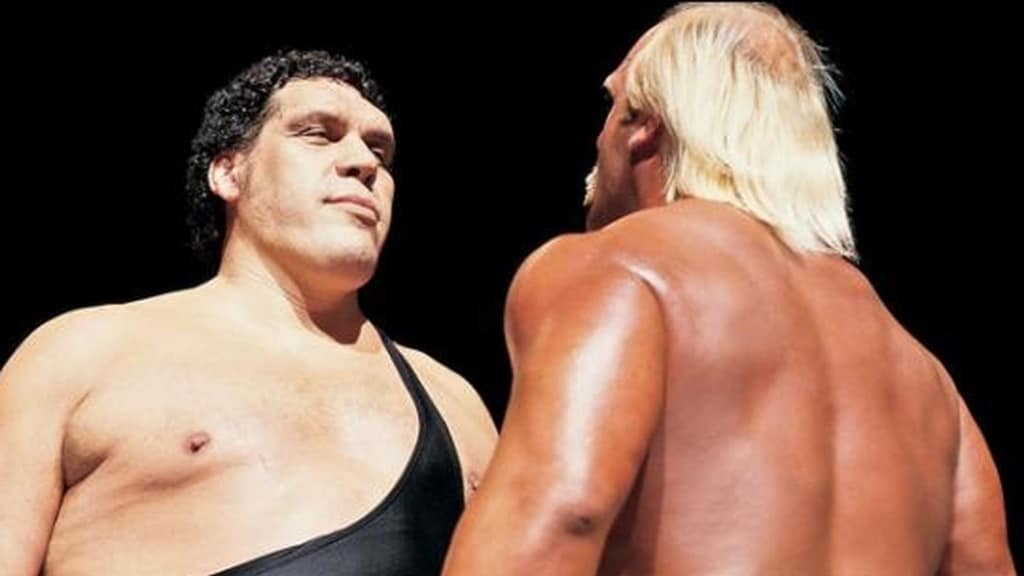 Andre The Giant and Hulk Hogan