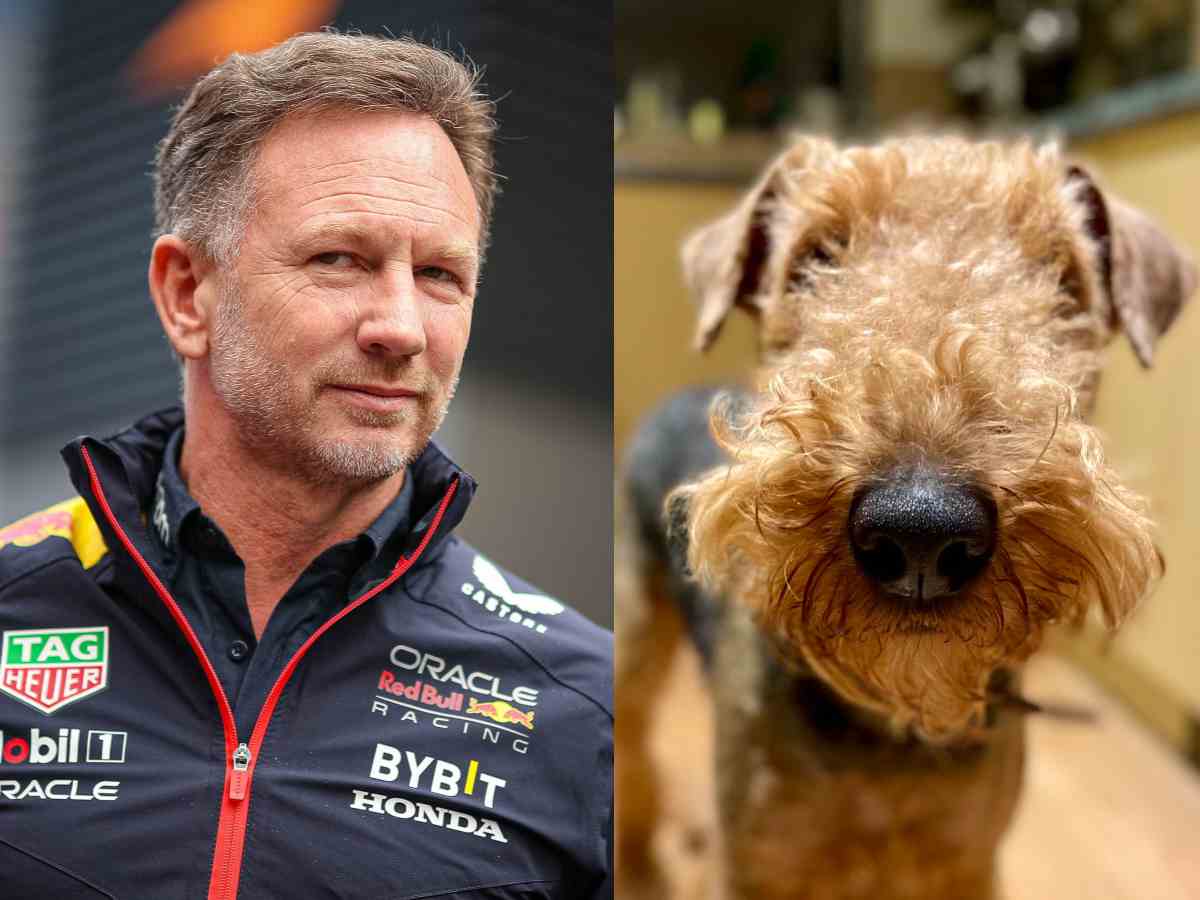 Christian Horner bids adieu to beloved Margo by sharing video featuring Sebastian Vettel