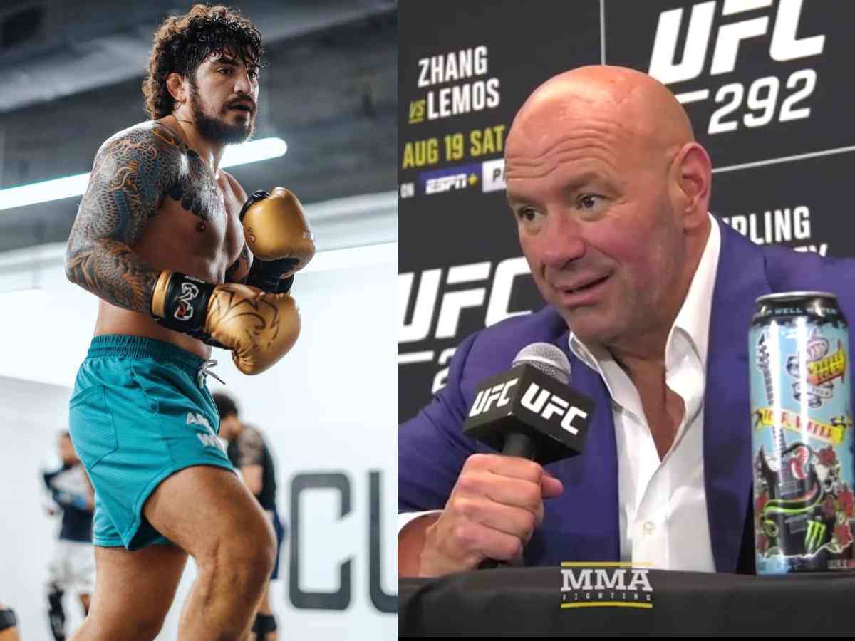 Dillon Danis targets Dana White after UFC boss joked about Logan Paul boxing appalling Twitter feud