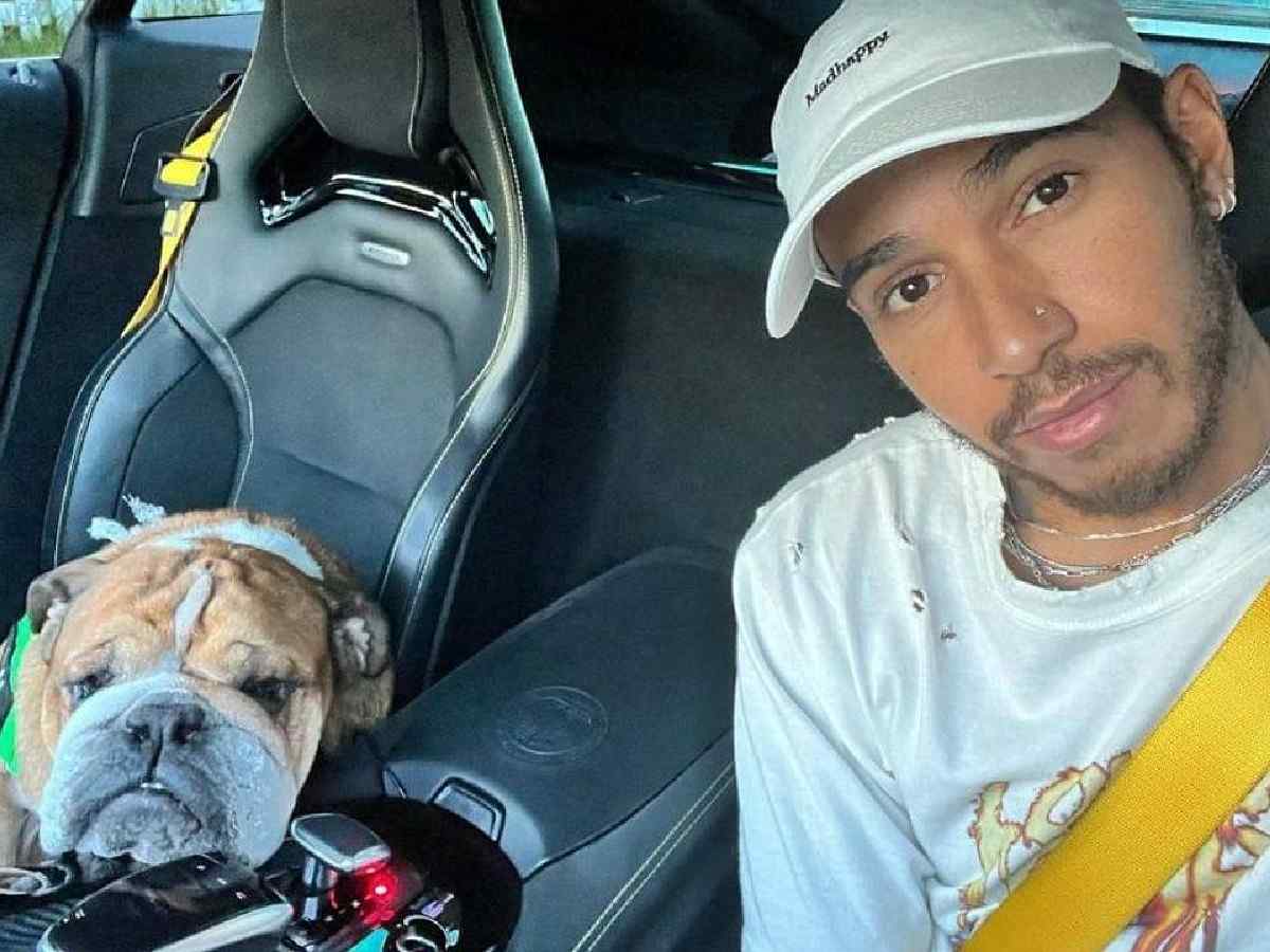 WATCH: Lewis Hamilton enjoys F1 summer break teaching Roscoe to share his fruits