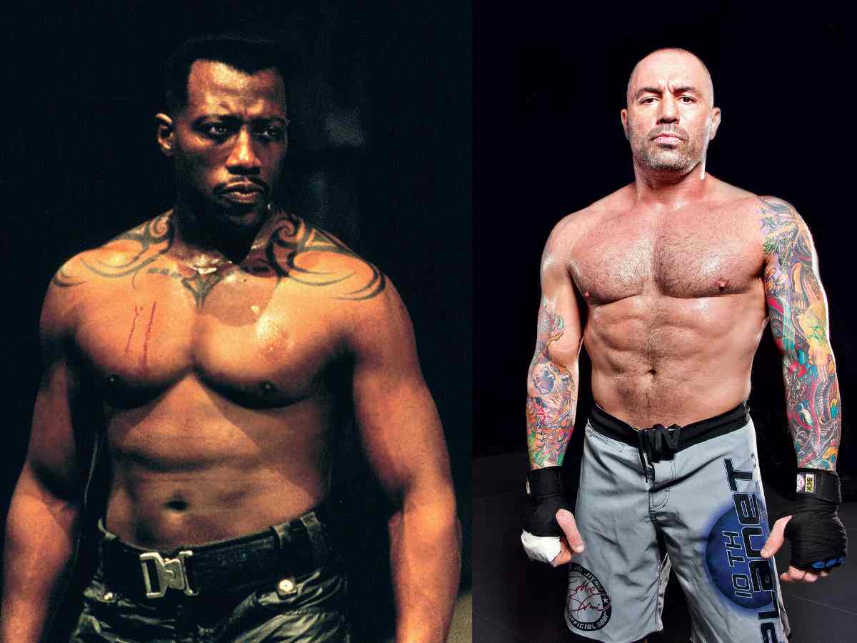 “The f**k are you gonna do if I grab you?” Joe Rogan was once challenged by tax-evading Wesley Snipes to overcome $23,500,000 losses in IRS case