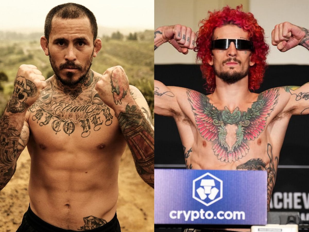 Marlon Vera and Sean O'Malley UFC