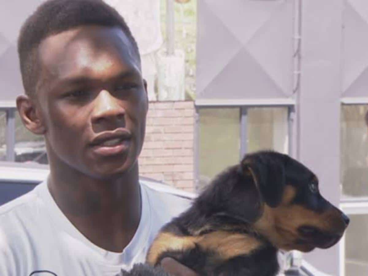 “It’s looking terrible” – Israel Adesanya’s controversial tweet about pet dog from 8 years ago goes viral after Sean Strickland’s UFC 293 press conference rant