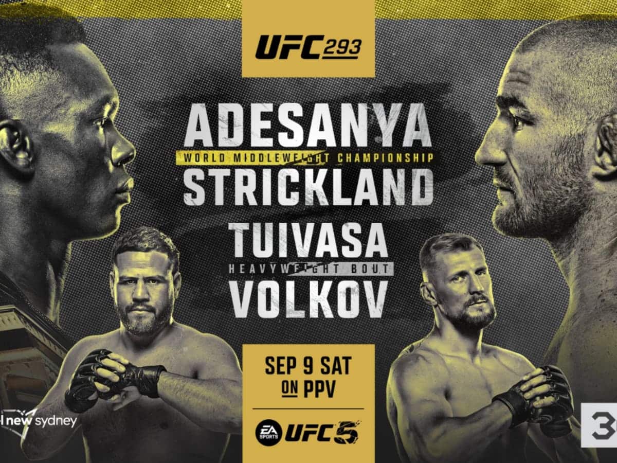 UFC 293