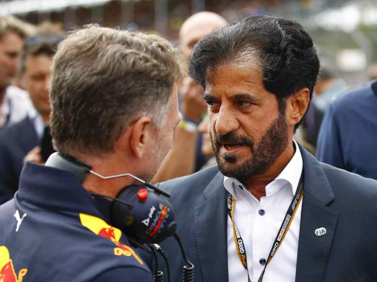 Christian Horner and Mohammed Ben Sulayem