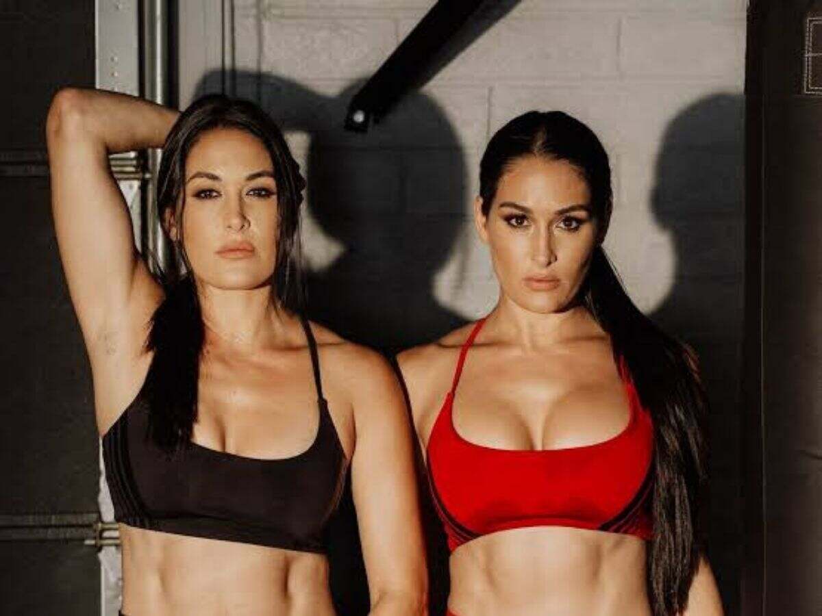 The Bella Twins