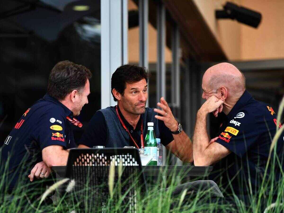 Aero-wizard Adrian Newey reveals the underlying characteristics of a great F1 driver