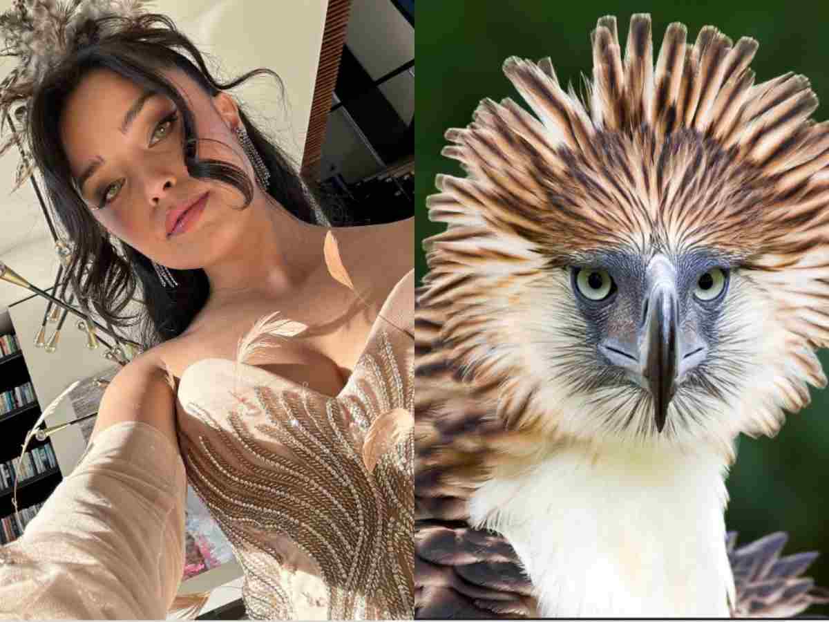 “Mother has arrived from heaven” – Fans go gaga as Valkyrae slays the QTCinderella’s Forest Gala with the Philippine Eagle-inspired dress