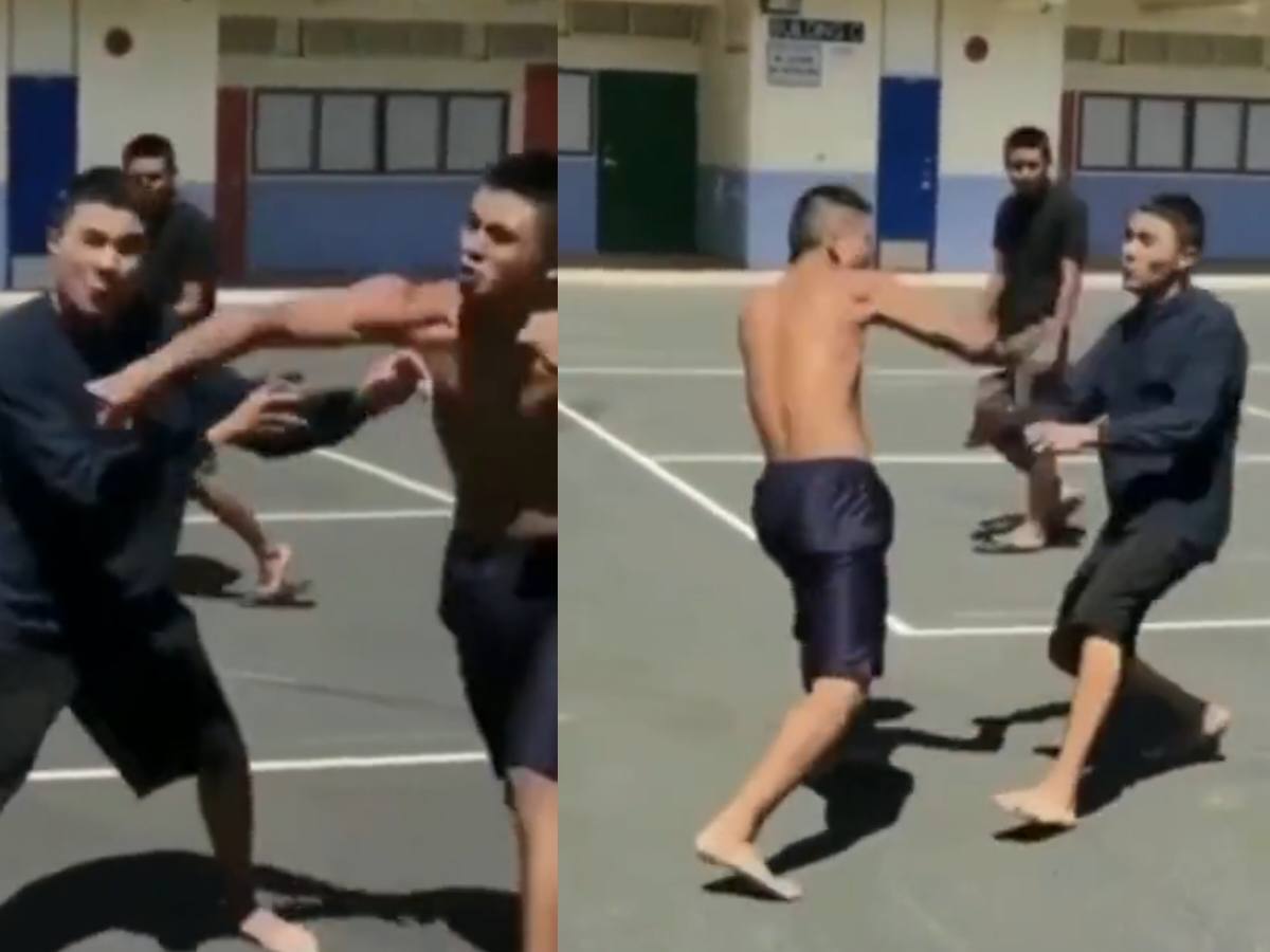 WATCH: ‘I’d start apologizing’ – Street fight has terrible outcome as regular person faces off MMA fighter landing brutal leg kicks