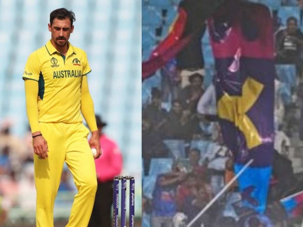 WATCH: Massive hoarding falls on spectators amid wind storm in Lucknow during Australia vs Sri Lanka