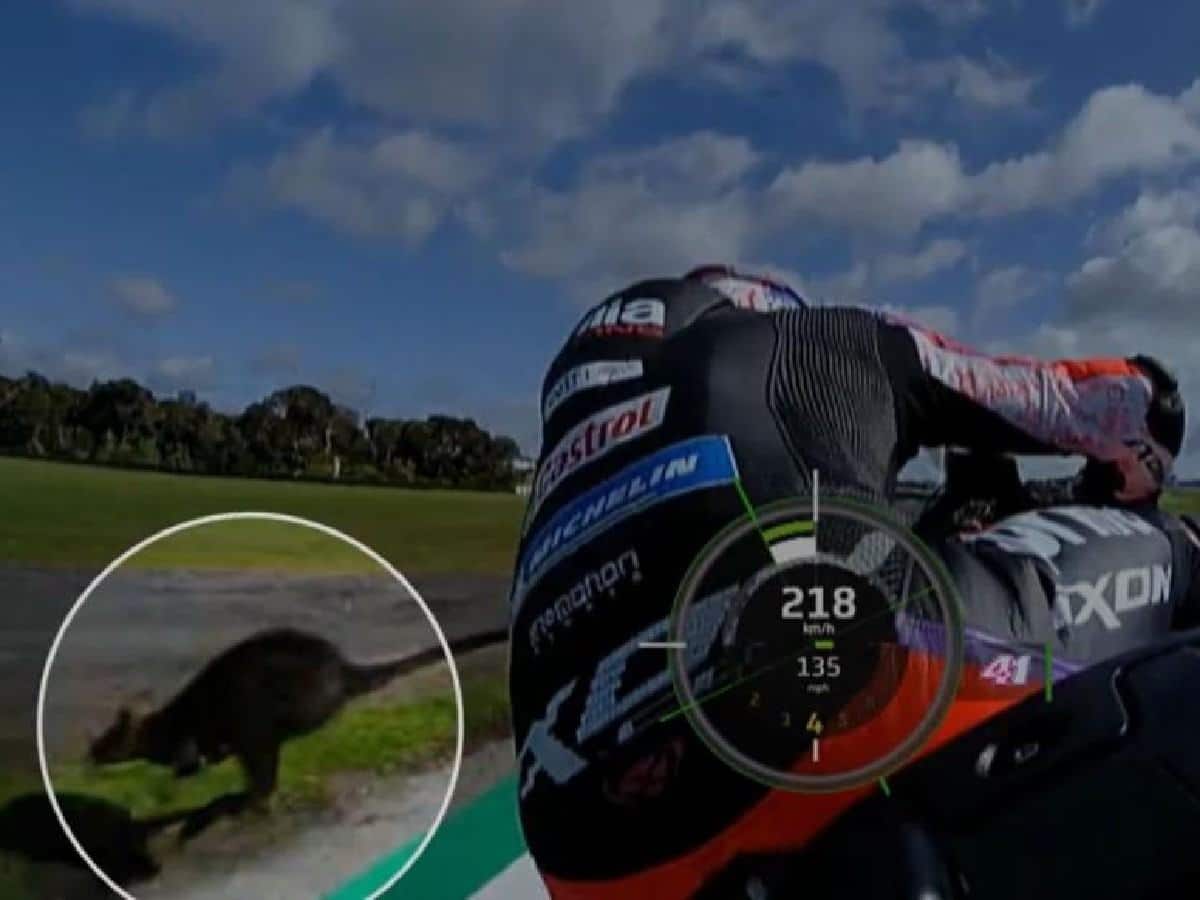 WATCH: When a MotoGP rider narrowly escaped a chaotic collision with a Kangaroo at the Australian GP