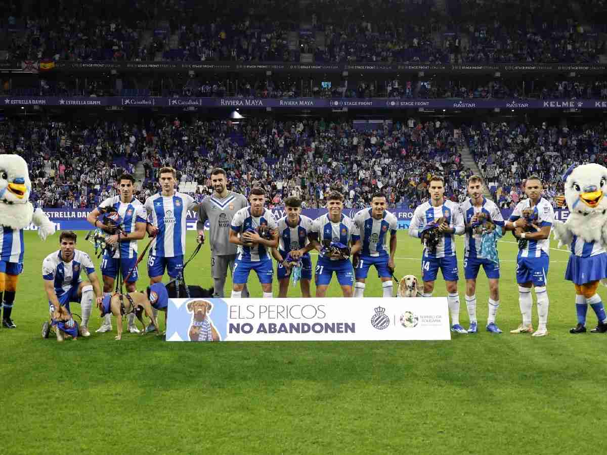 WATCH: RCD Espanyol players are accompanied by dogs up for adoption before their match against Real Valladolid CF