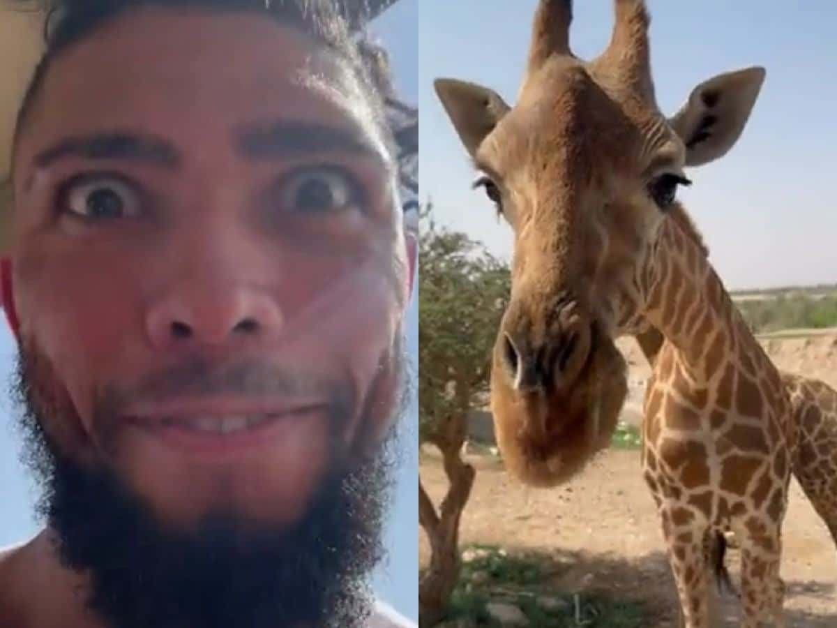 WATCH: Johnny Walker’s wild zoo adventure of feeding a giraffe from mouth in daring encounter