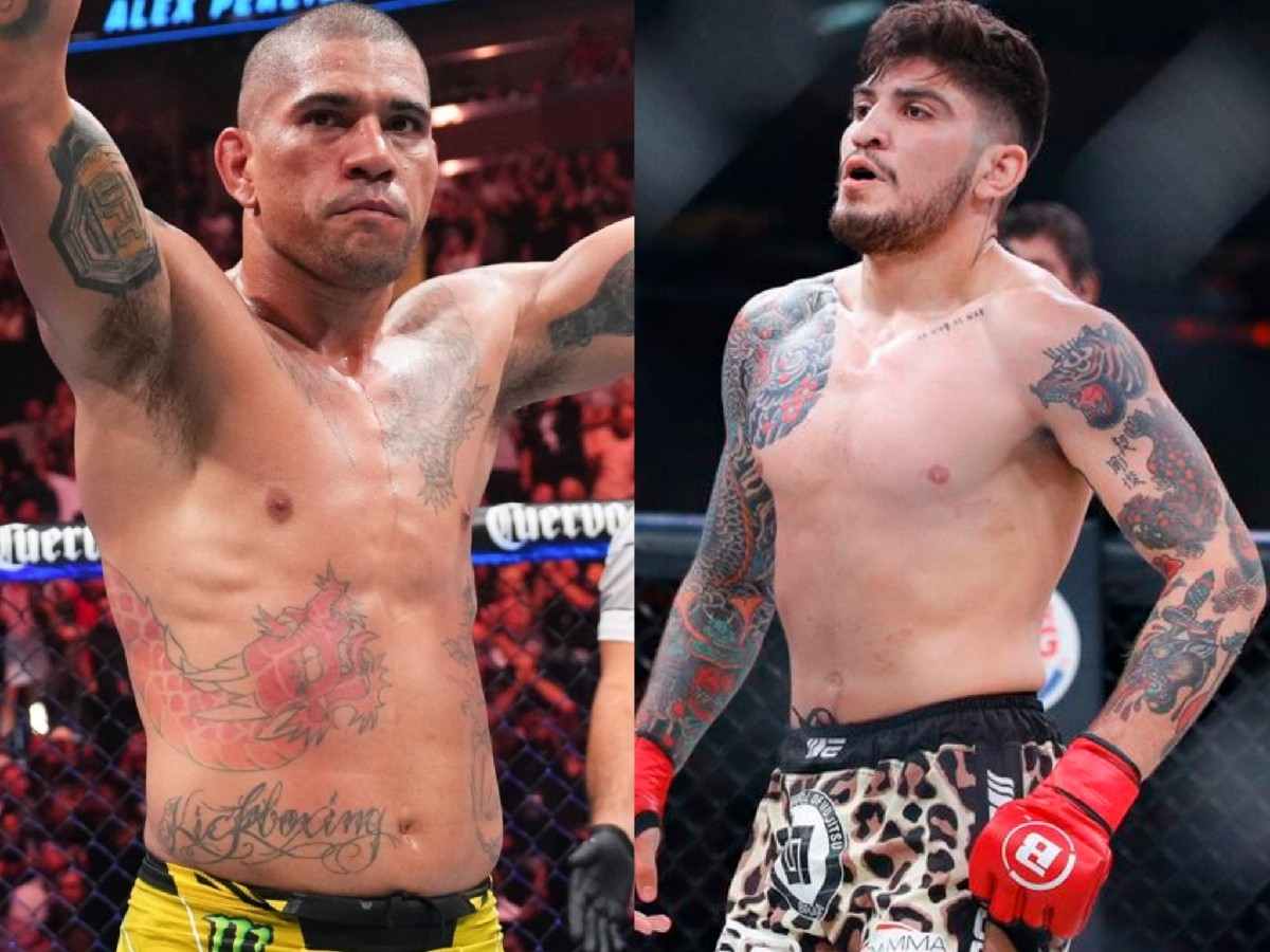 Alex Pereira and Dillon Danis