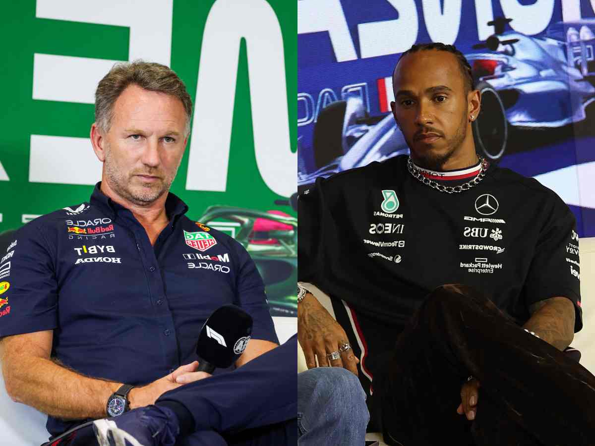 Christian Horner [L], Lewis Hamilton [R]