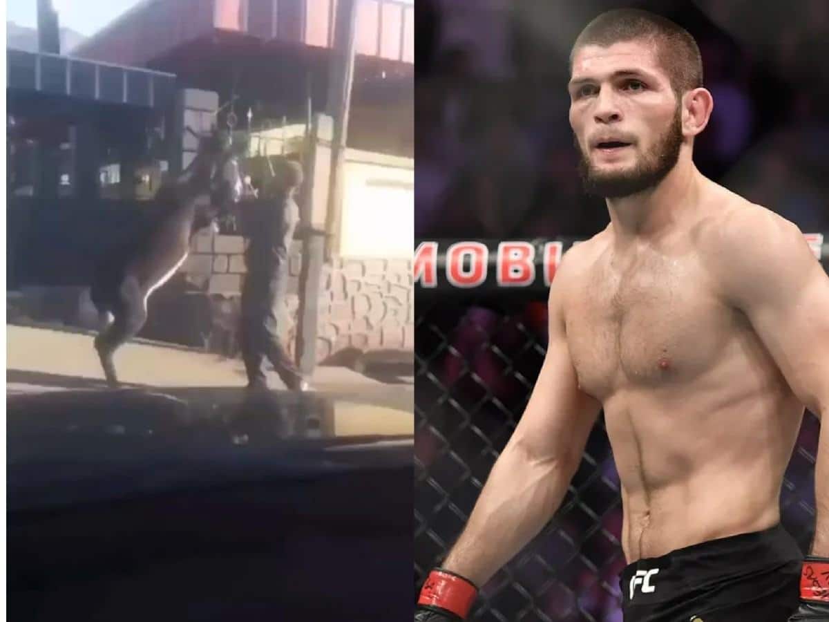 “Khabib’s cousin” – Internet go wild as Man executes spectacular Judo throw on a 500-pound donkey