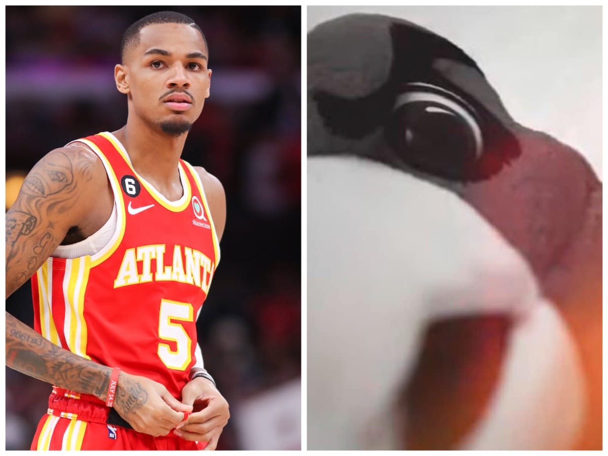 “MAN DELETE THIS SH*T!!” – Dejounte Murray in shock as Atlanta Hawks drops ‘OnlyFans’ promo featuring mascot leaving fans speechless 