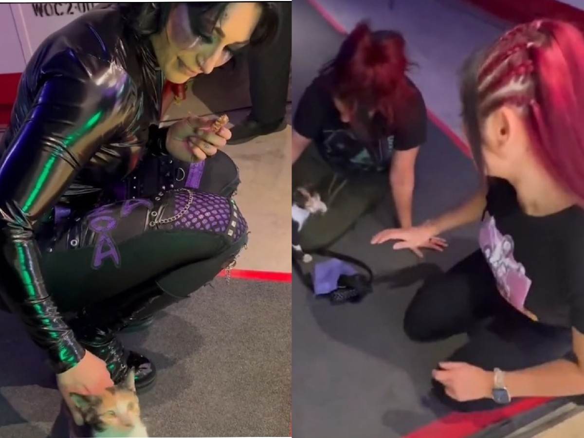 WATCH: Rhea Ripley and other WWE Superstars caught playing with stray cat in wholesome video backstage at Crown Jewel