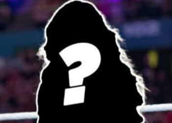 WWE assigns brand to returning superstar