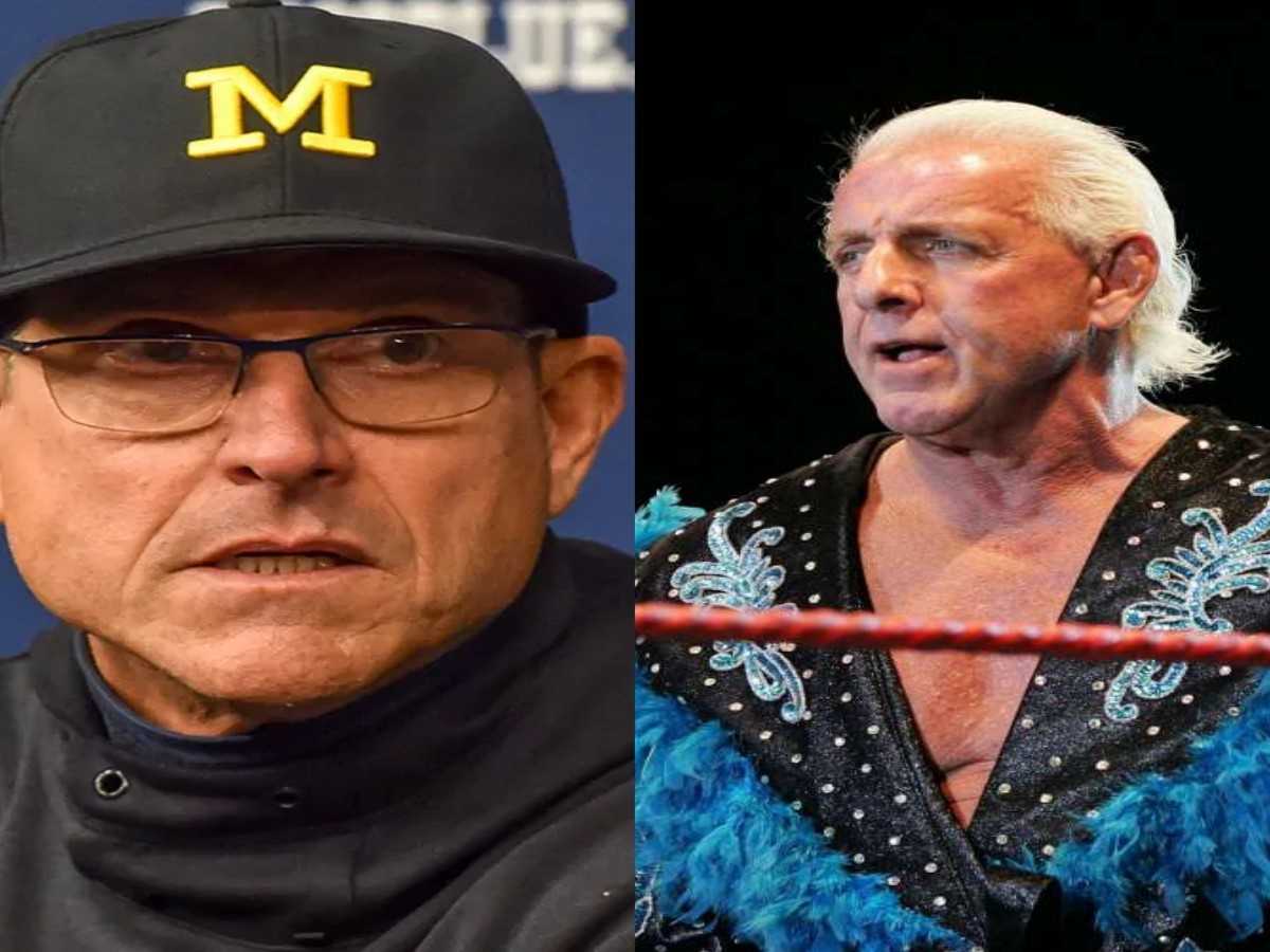 jim harbaugh and WWE ric flair