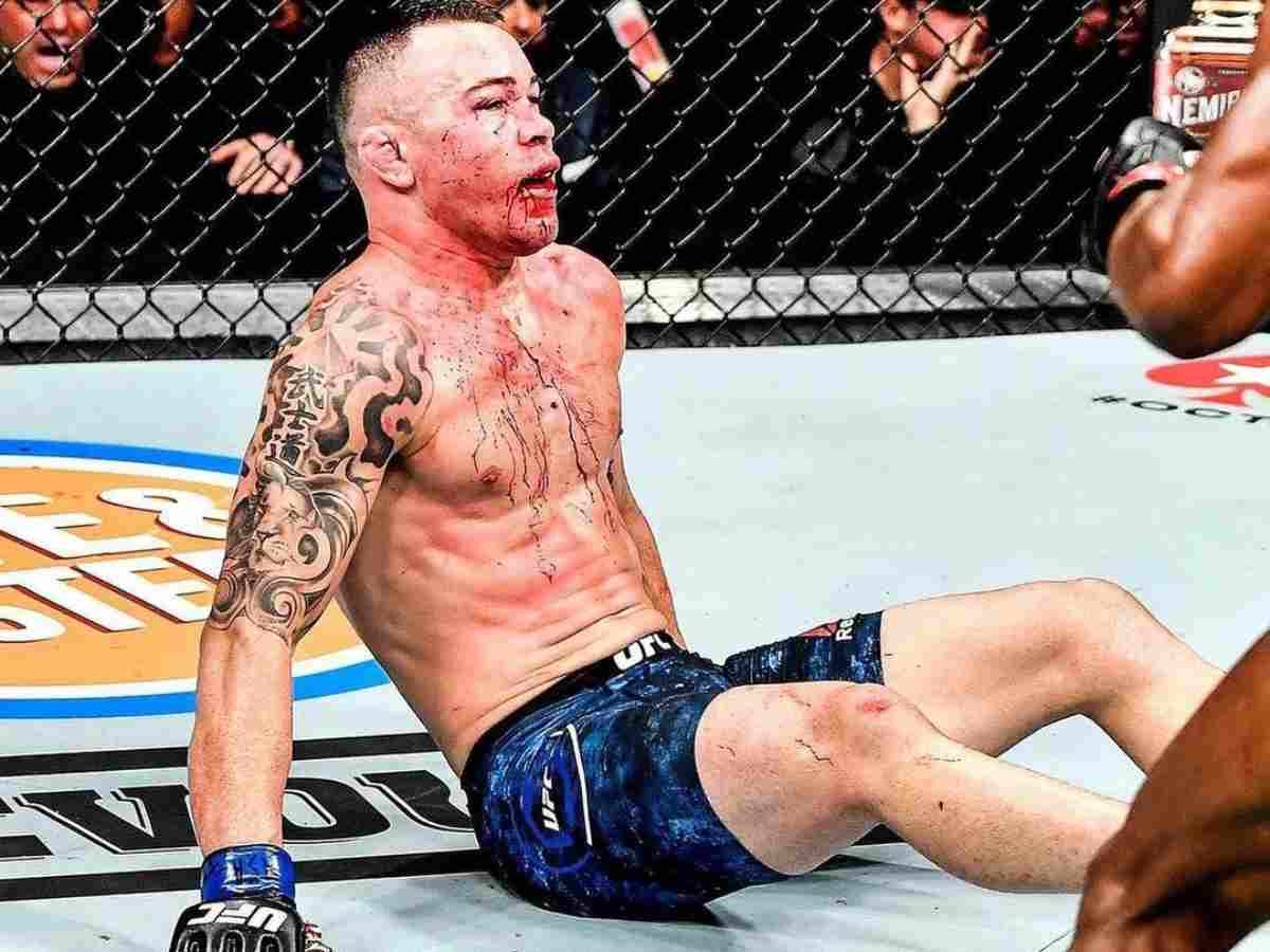 Colby Covington brutally trolled by UFC community