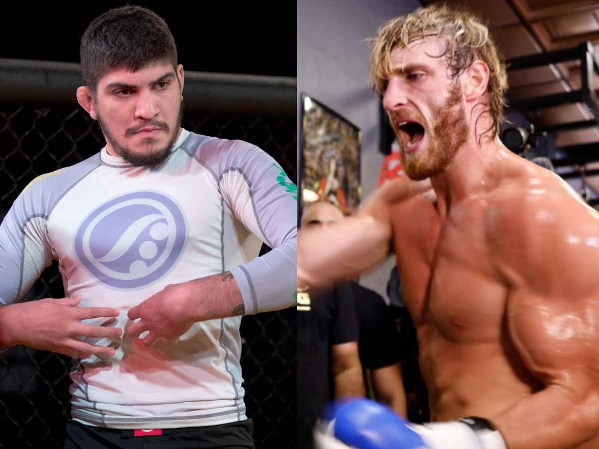 Fans react to Logan Paul's claim of beating Dillon Danis