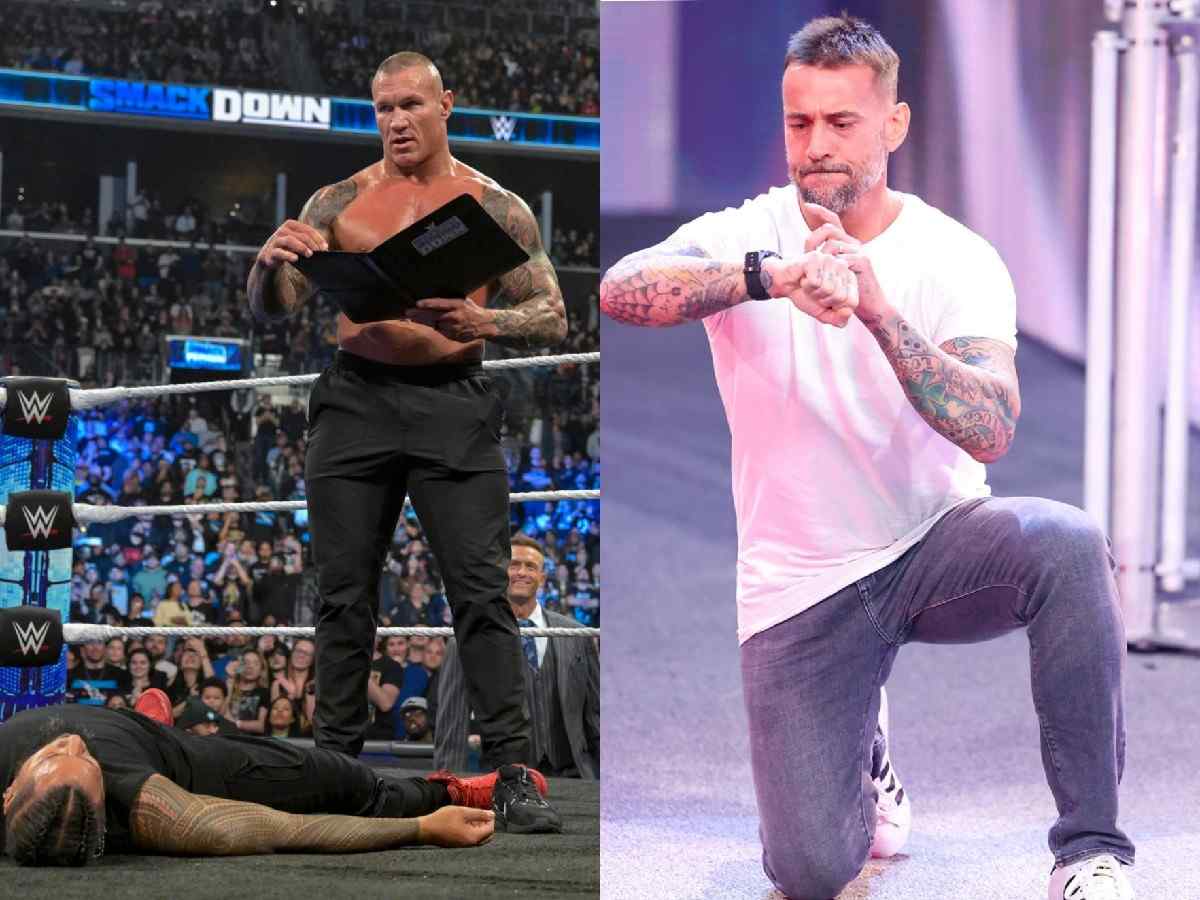 WWE Randy Orton and CM Punk