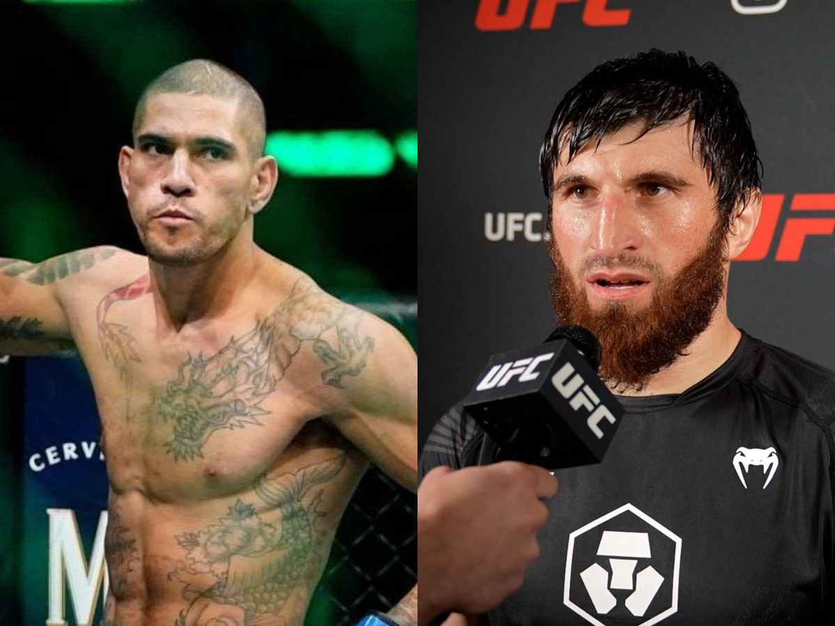 “He wants Undertaker at WrestleMania” – Alex Pereira fearlessly accepting ‘tough’ Magomed Ankalaev matchup has fans singing praise for Brazilian