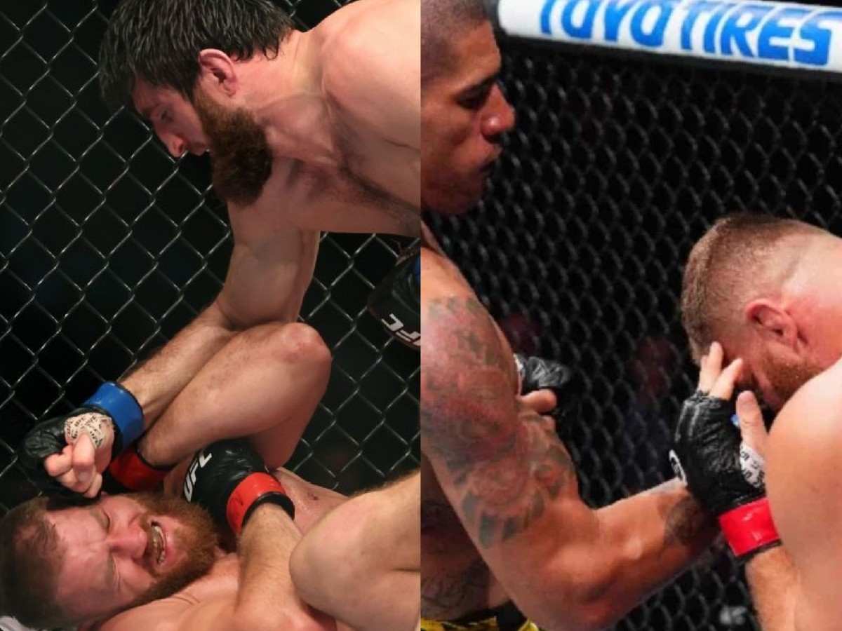 Snippets from Magomed Ankalaev's and Alex Pereira's fight against Jan Blachowicz