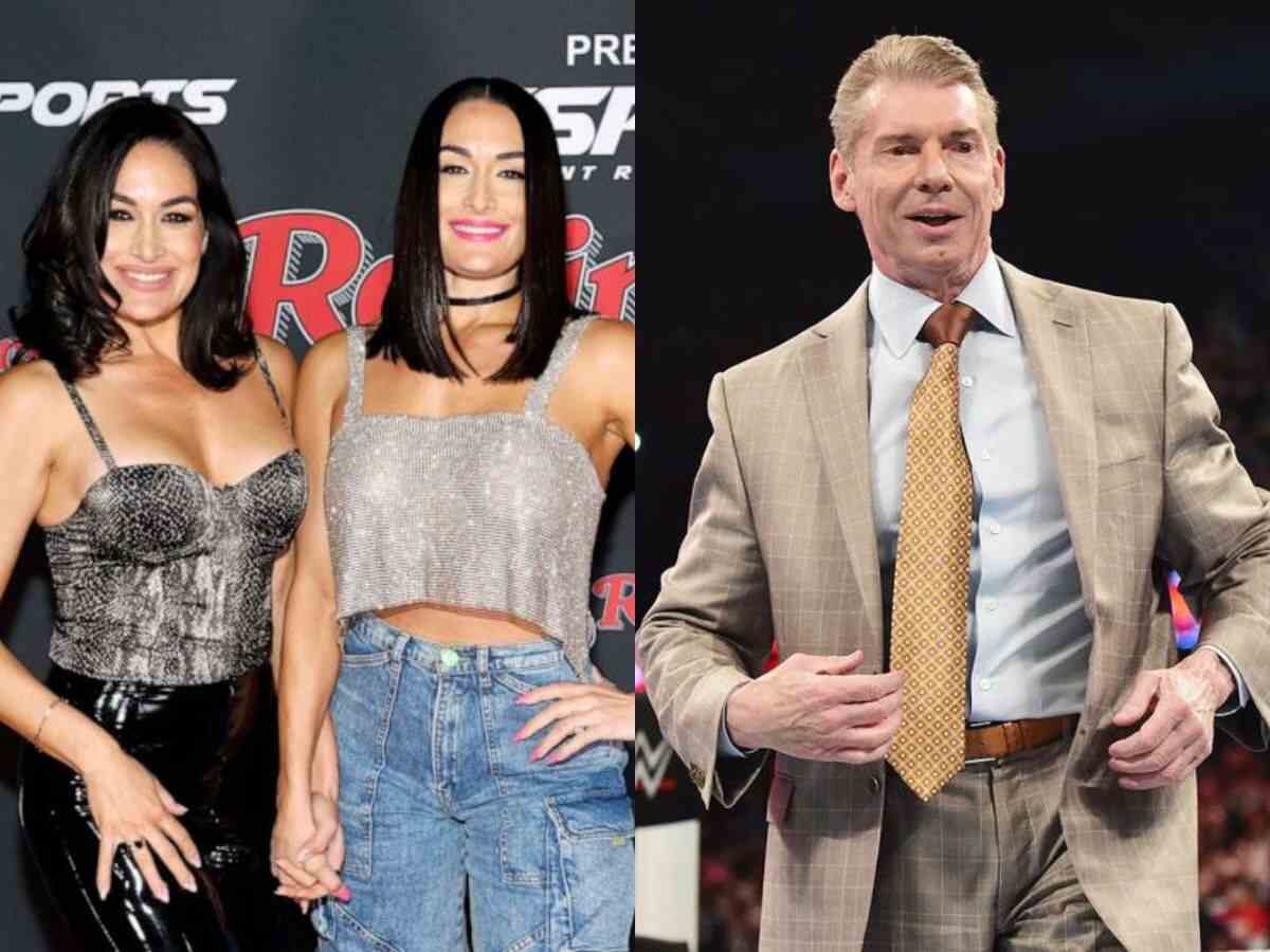 Bella Twins and Vince McMahon