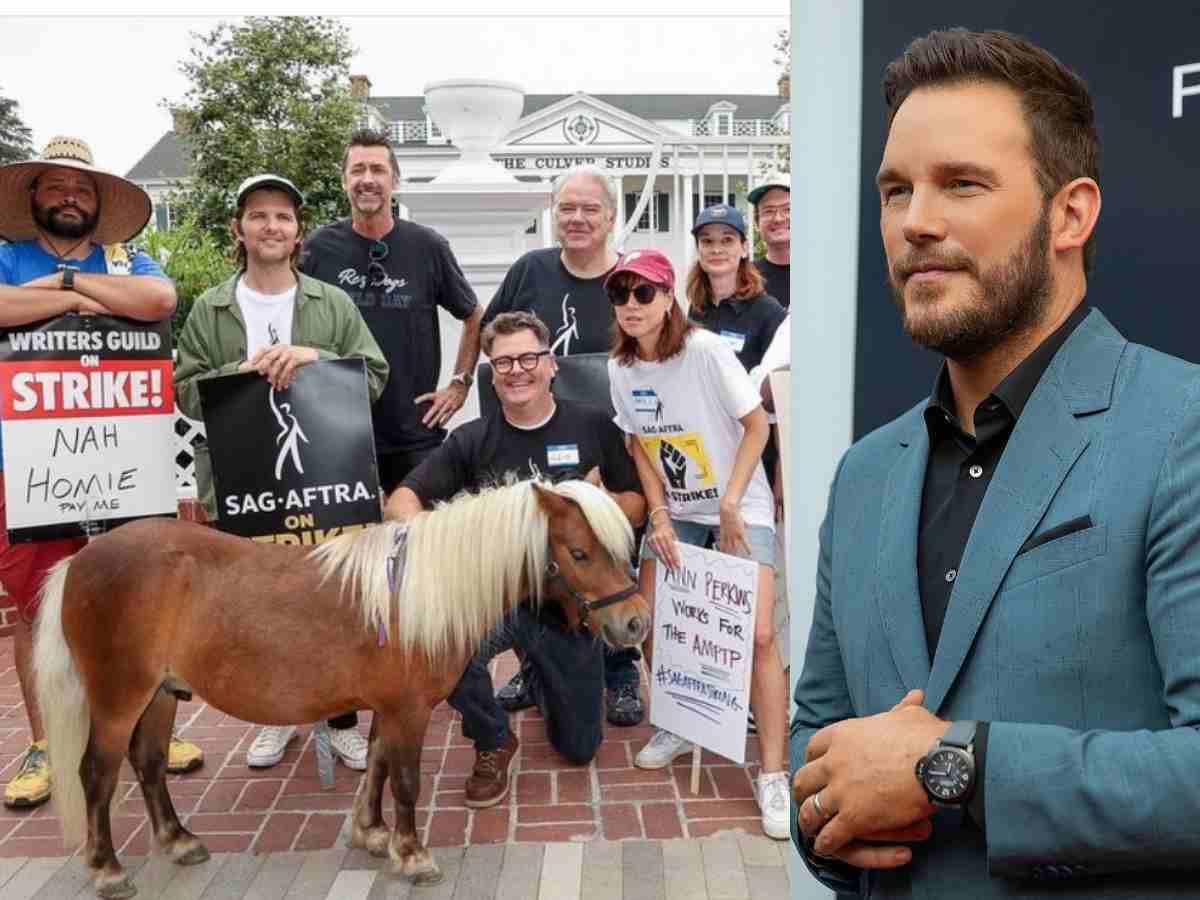 “We are designed to hate,” MMA ‘GOAT’ urges fighters to support each other like Chris Pratt in Hollywood protests