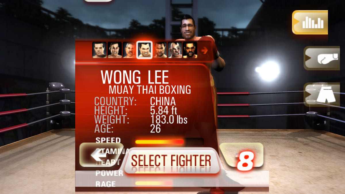 Iron Fist Boxing lite 