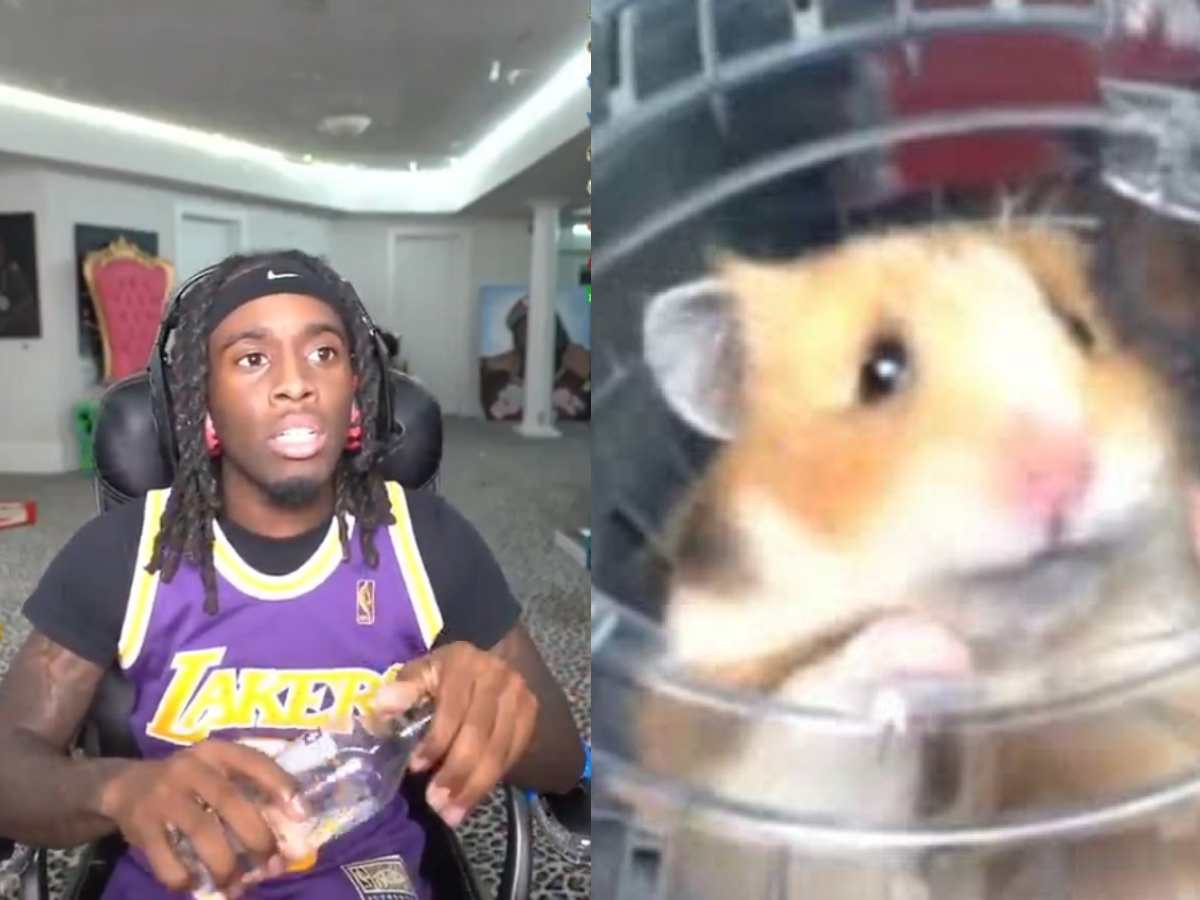 “Long live Lil C,” Kai Cenat reveals his hamster ‘Lil Cenat’ passed away