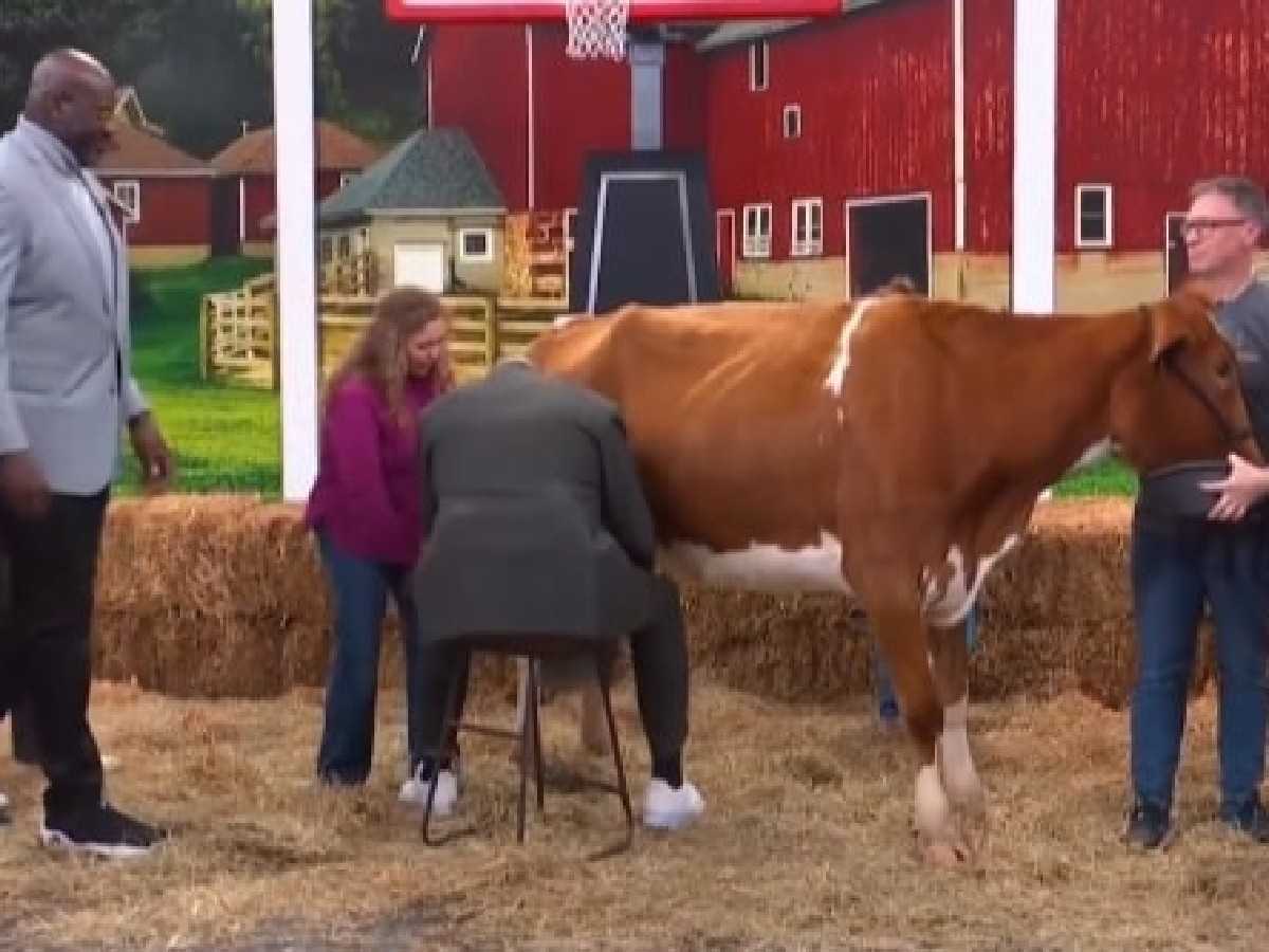 “You pull that little thing!” Charles Barkley milking a cow sends Shaquille O’Neal into uncontrollable laughter