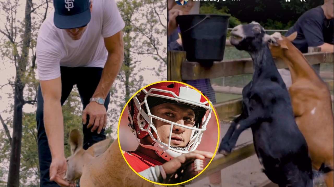 WATCH: Laughter ensues as ‘Patrick Mahomes exhibit’ surprises Tom Brady during his Aussie zoo visit