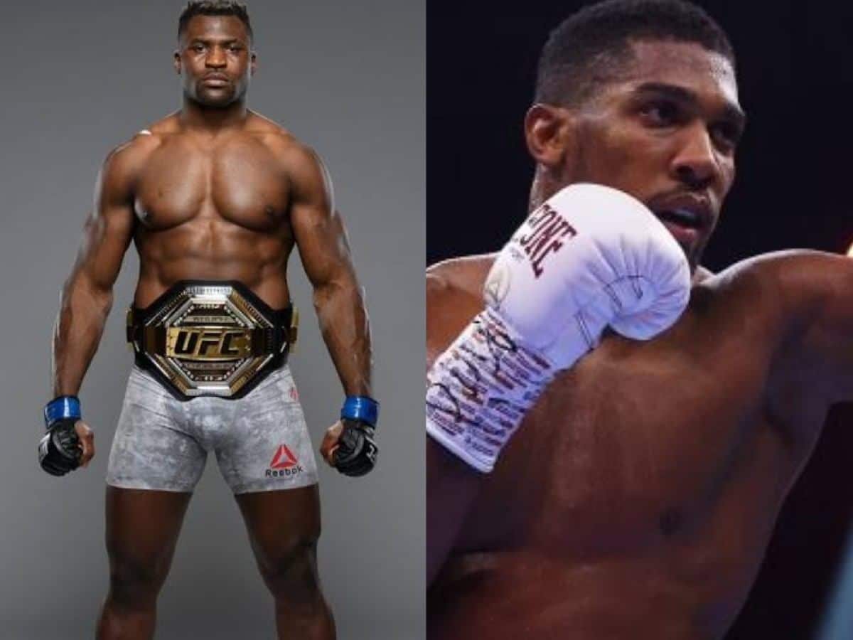 Francis Ngannou is a possible opponent for Anthony Joshua in a boxing fight