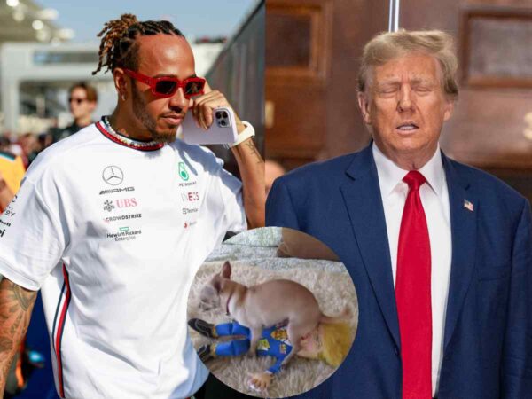 Lewis Hamilton [L] Donald Trump [R] (images via IMAGO)