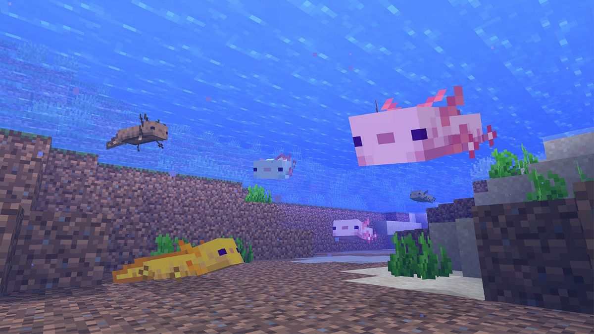 Axolotls Eat in Minecraft