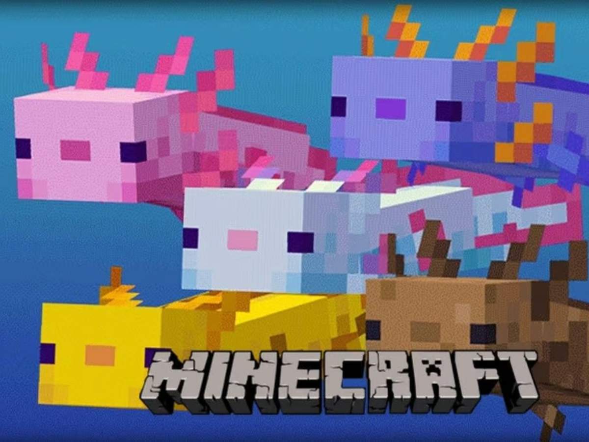 What do Axolotls eat in Minecraft?