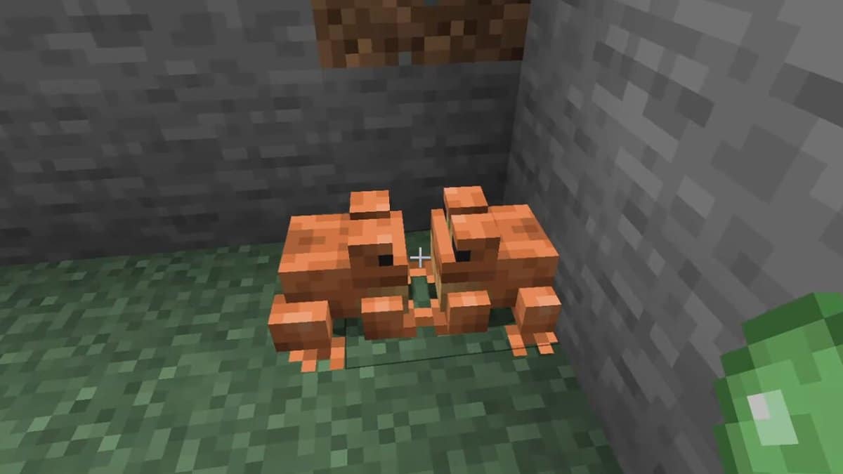 Breed Frogs in Minecraft slimeball