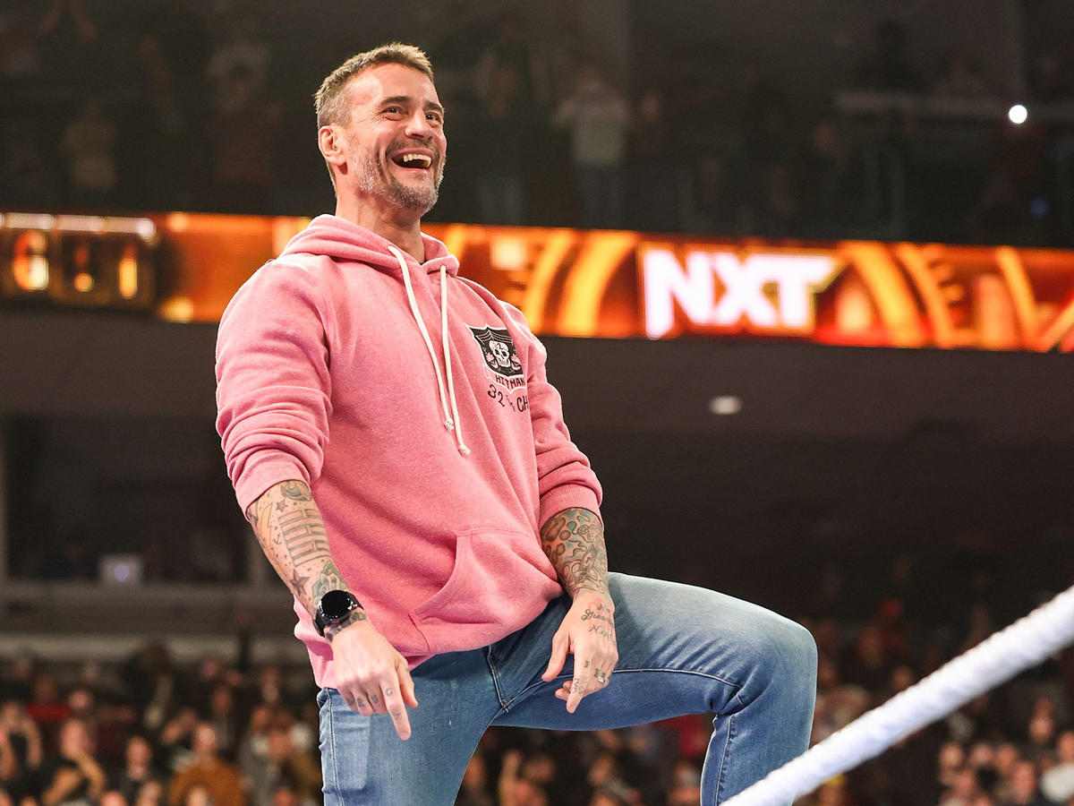 CM Punk at NXT