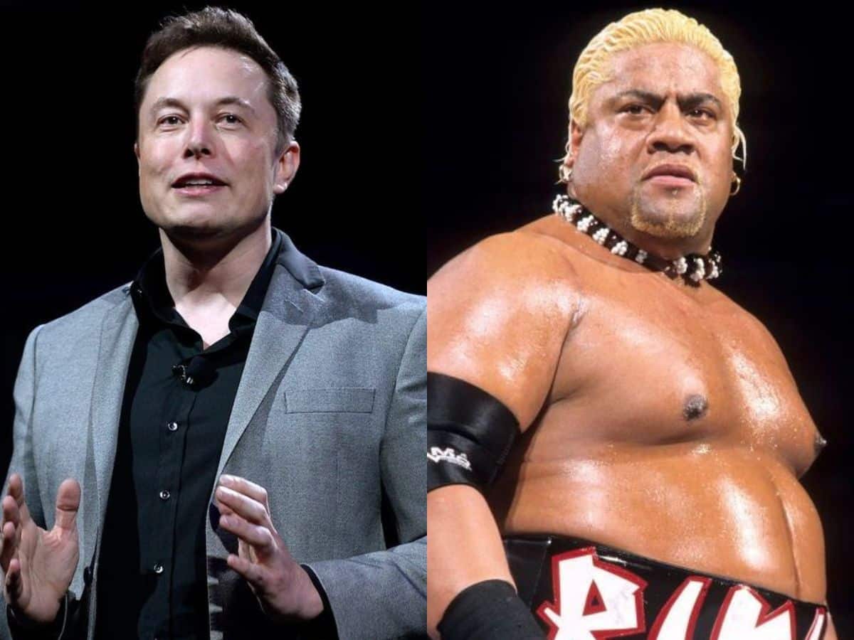 Elon Musk and Rikishi