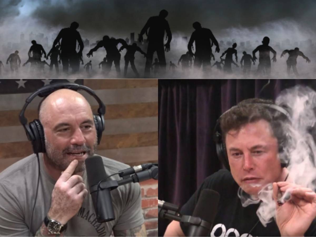 “It’s almost like a death cult!” Elon Musk detailing ‘Zombie Apocalypse’ in San Francisco leaves Joe Rogan in splits