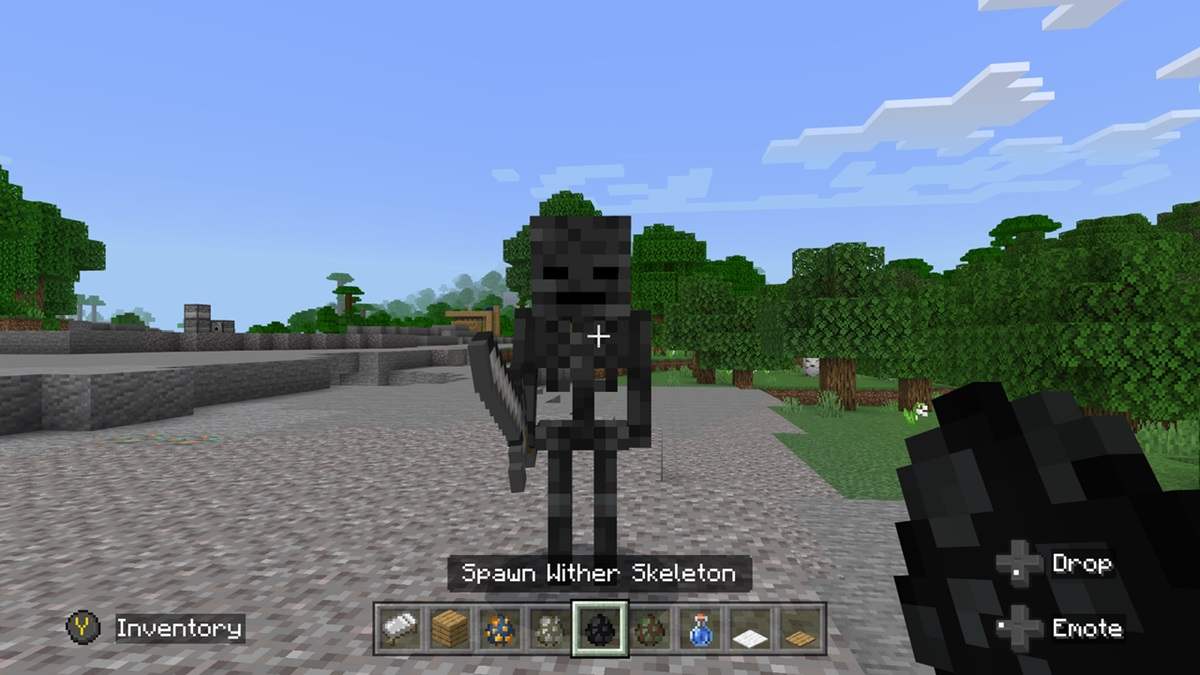 Skeletons Minecraft