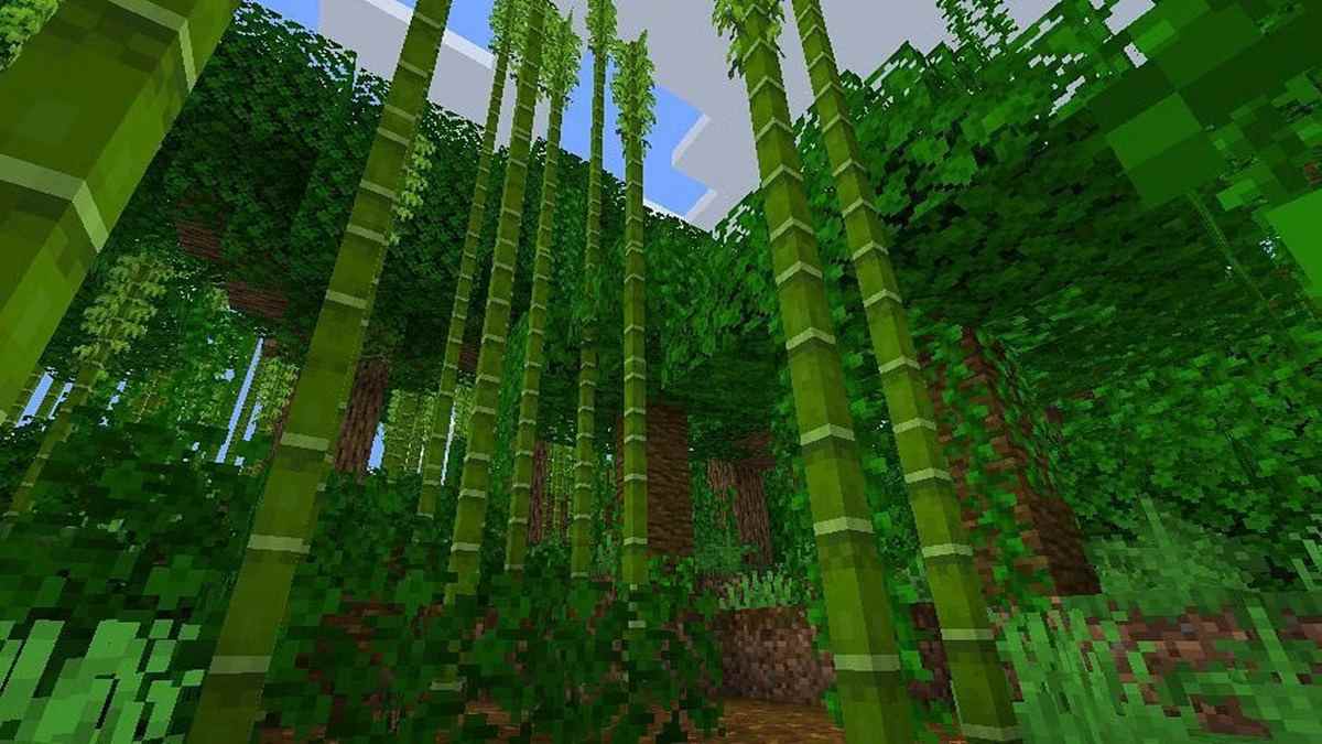 The Bamboo Jungle Biome