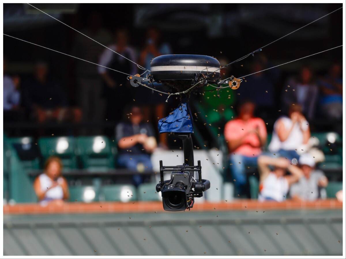 Here’s why such a huge bee swarm erupted during Carlos Alcaraz and Alexander Zverev’s quarterfinal match