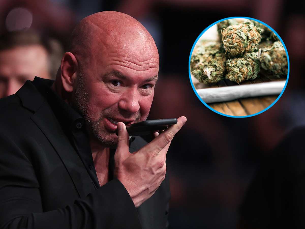 UFC and the issue with marijuana regulations with state athletic commissions